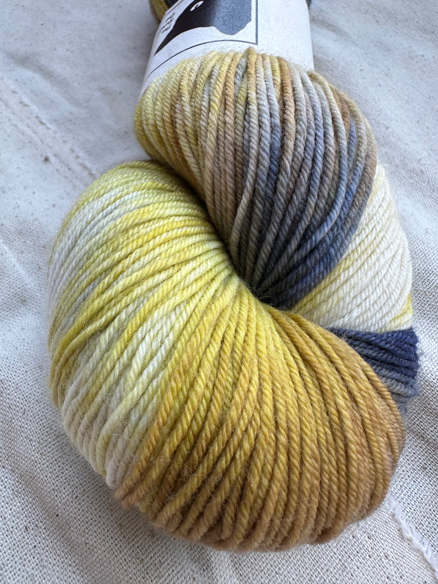 Chonky Cat Yarn - Jupiter