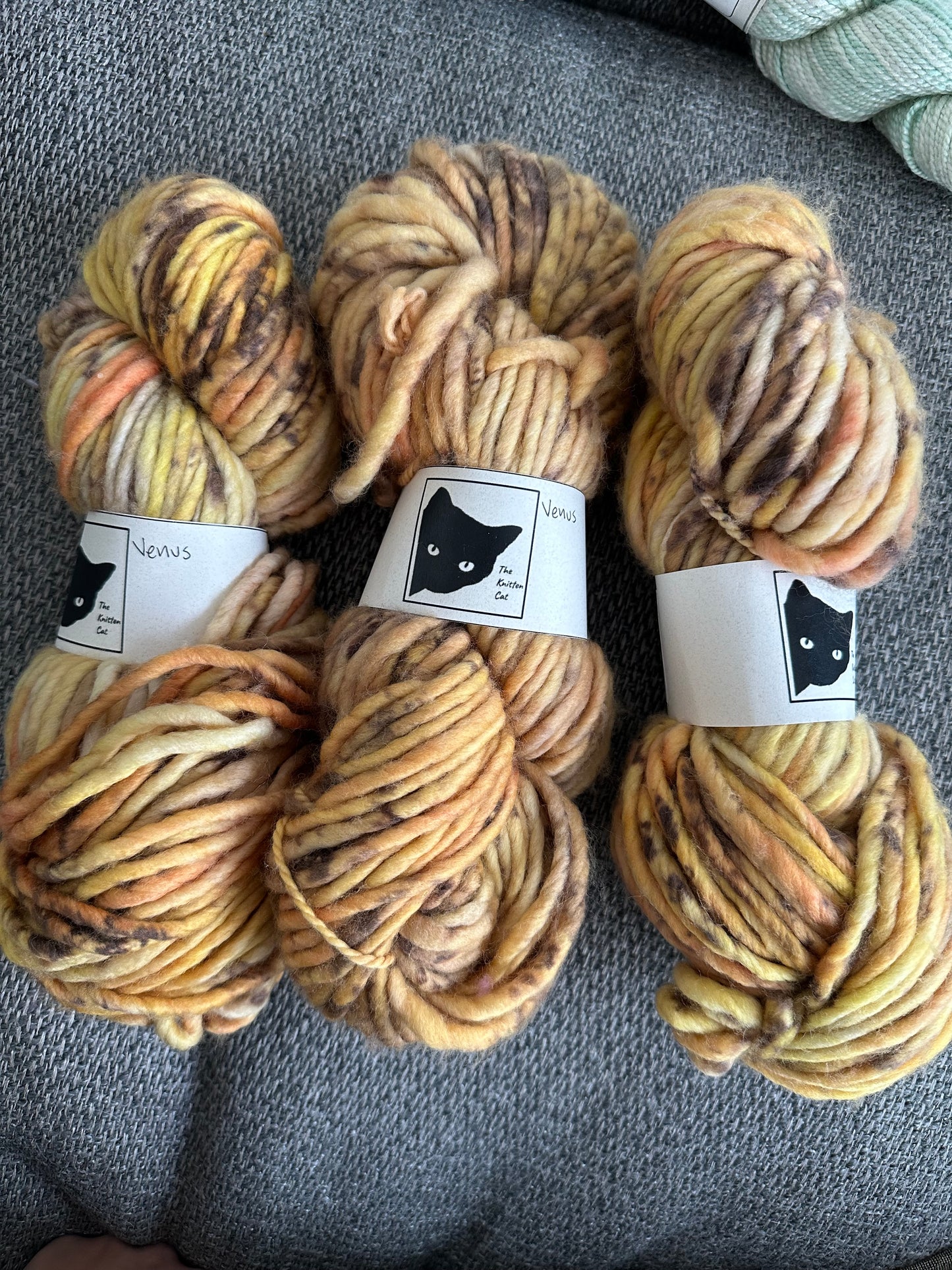 Chonky Cat Yarn - Venus