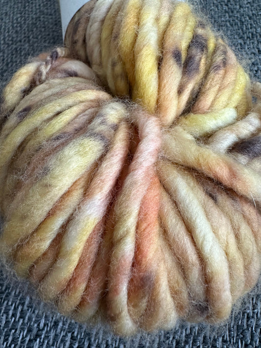 Chonky Cat Yarn - Venus