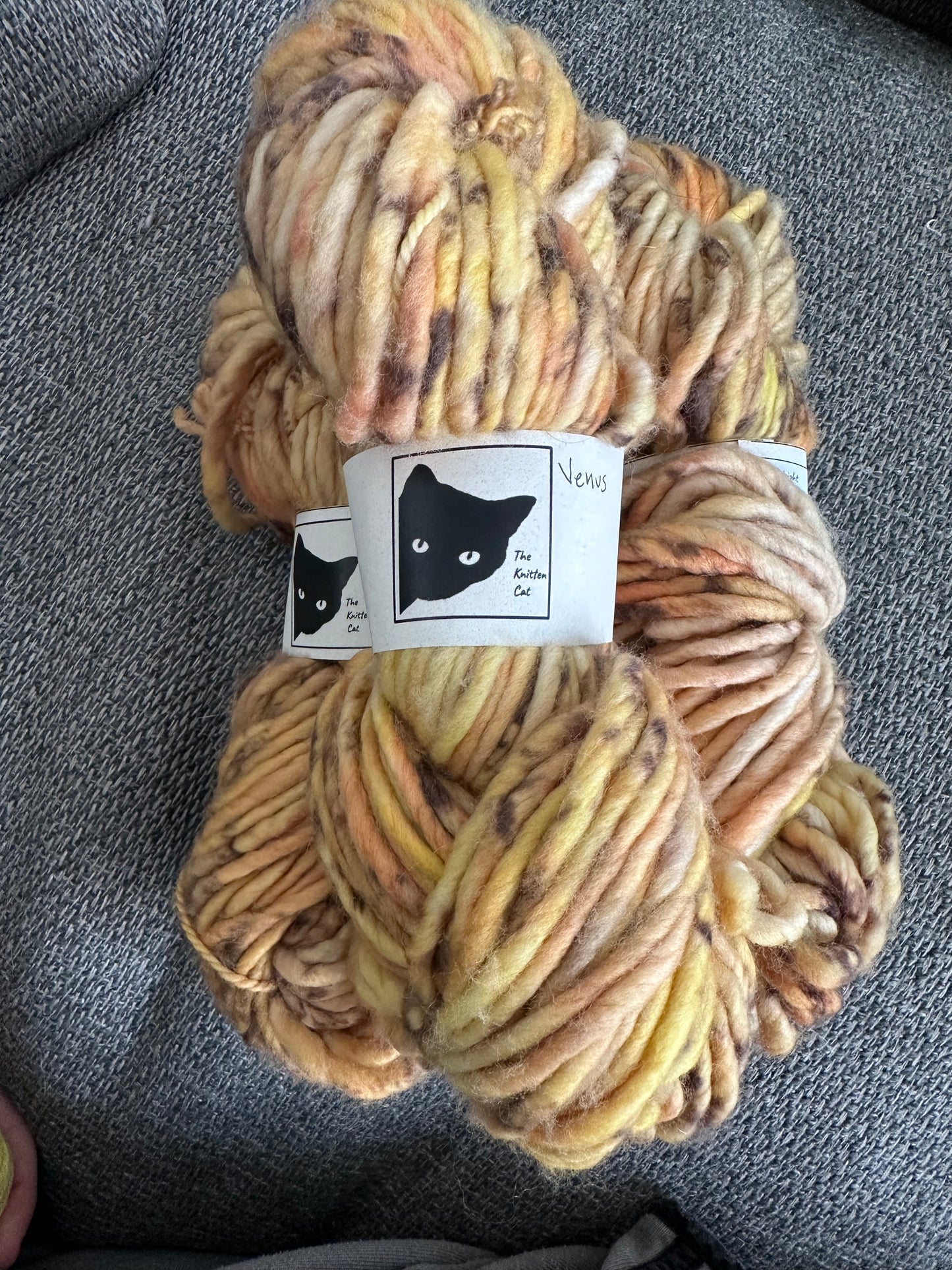 Chonky Cat Yarn - Venus