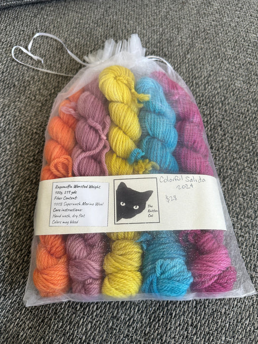 Ragamuffin Worsted - Colorful Salida 2024